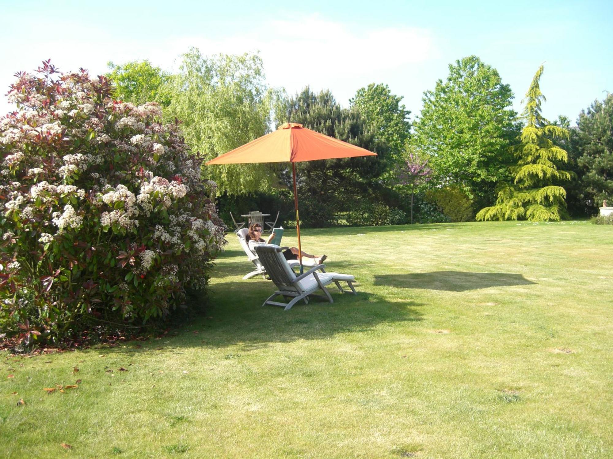 L'Oisette Bed and Breakfast Epiniac Exteriör bild
